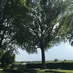 Temenos