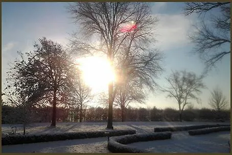 Oda ve Kahvaltı Temenos