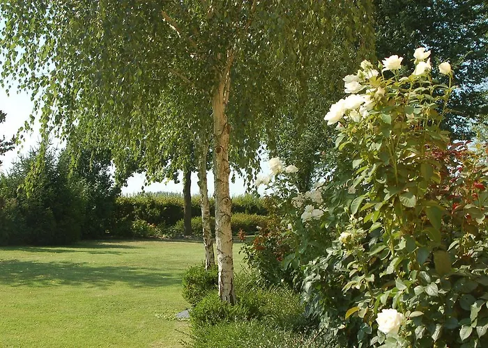 Temenos Oda ve Kahvaltı Parma