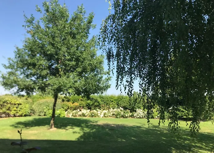 Oda ve Kahvaltı Temenos *